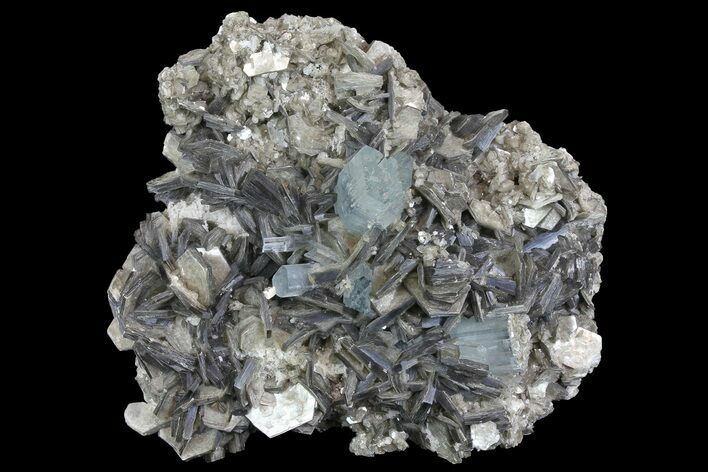 Stunning, Gemmy Aquamarine and Muscovite Association - Pakistan #170752